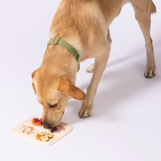 Mellow Mat - Dog Anxiety Plate