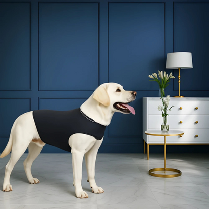 Calming Buddy - Anxiety Vest