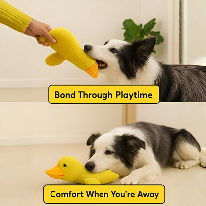 Paw Pal - Anxiety Plush Toy