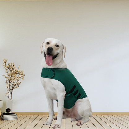 Calming Buddy - Anxiety Vest