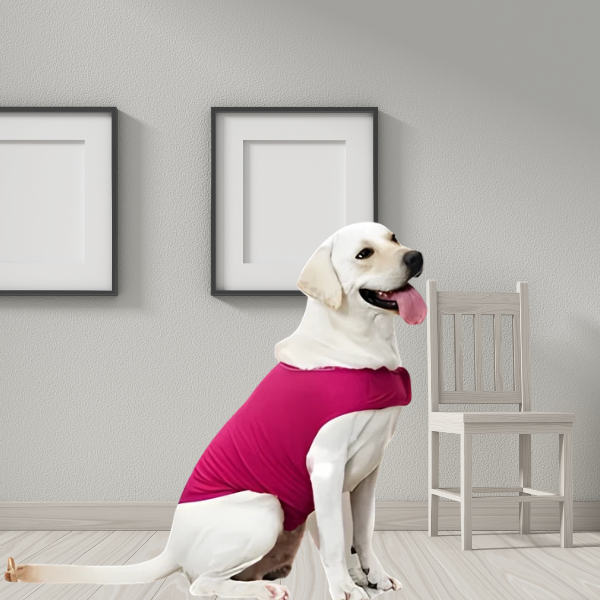 Calming Buddy - Anxiety Vest