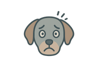 Dog Anxiety Expert Support